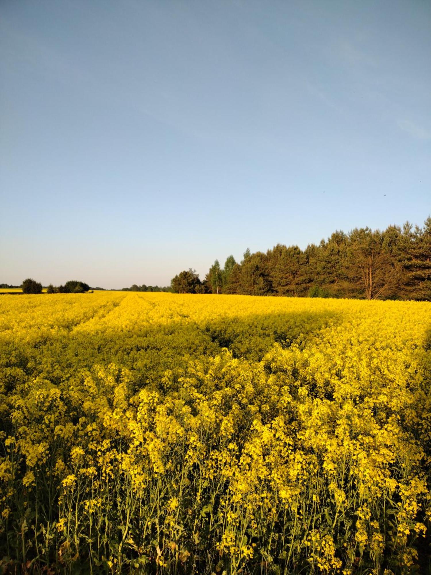 Panorama Podlasie Home&Spa Czyze Esterno foto