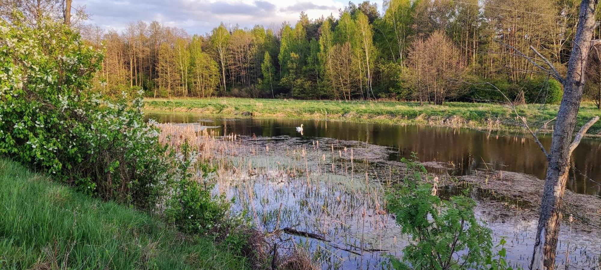 Panorama Podlasie Home&Spa Czyze Esterno foto